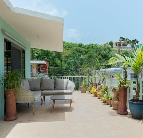 Casa Mia Guest House Rincon Bagian luar foto