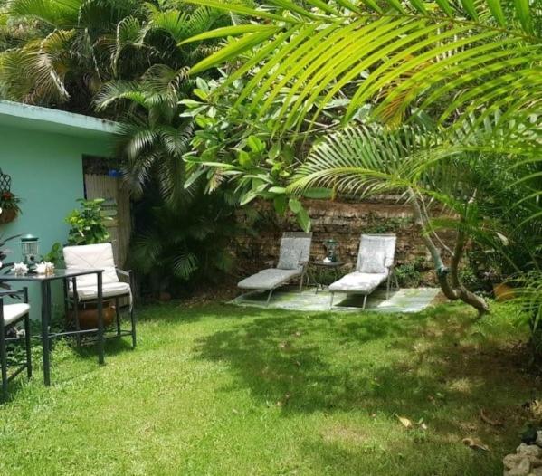 Casa Mia Guest House Rincon Bagian luar foto